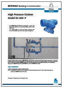 Bermad BC-80F-P High Pressure Strainer (PN40)