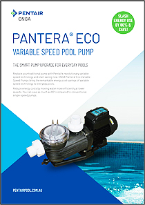 Pentair Onga ECO PPP-800-VS Variable Speed Pool Pump Brochure